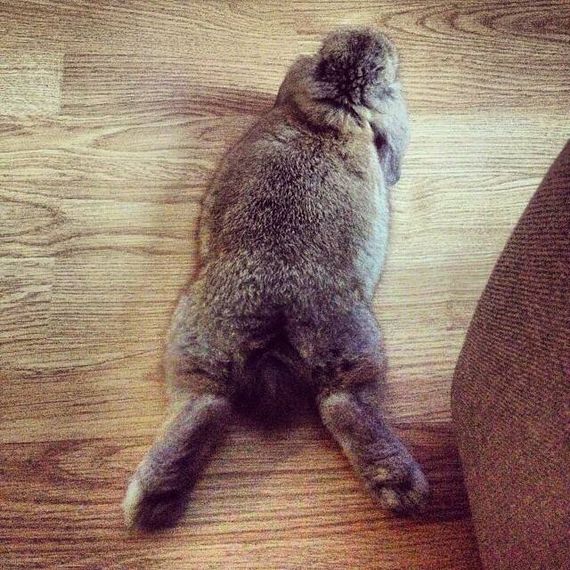 แชท หาเพื่อนคุย, โสด 