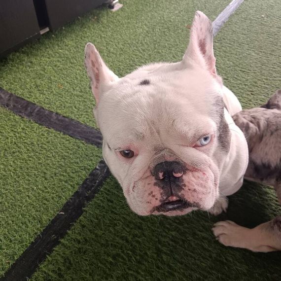 แชท หาเพื่อนคุย, หาเพื่อนเที่ยว 