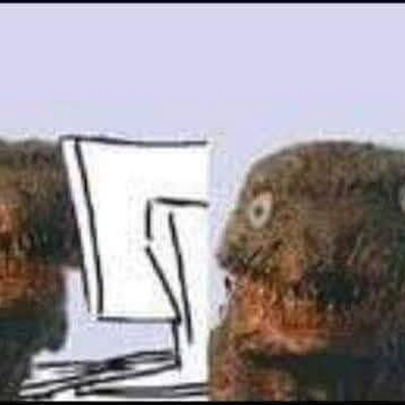 แชท โสด  ที่อยู่ กรุงเทพมหานคร