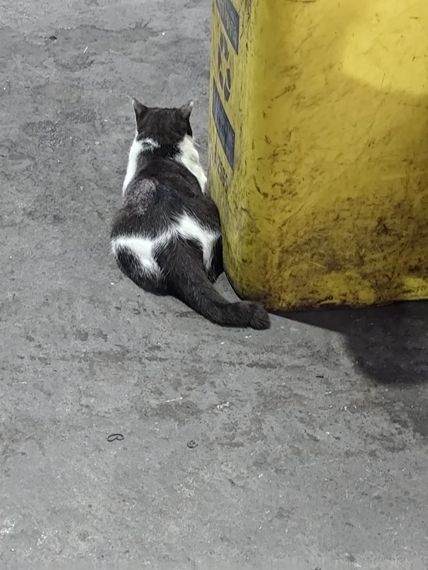 แชท หาเพื่อนคุย, หาเพื่อนเที่ยว  ที่อยู่  นครปฐม