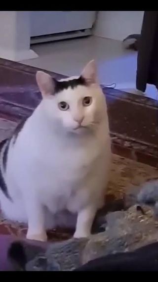 แชท หาแฟน, หาเพื่อนคุย 