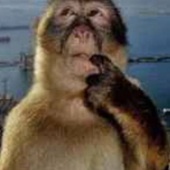 แชท หากิ๊ก 