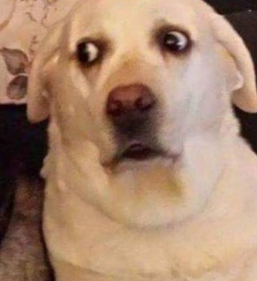 chat looking for friends 