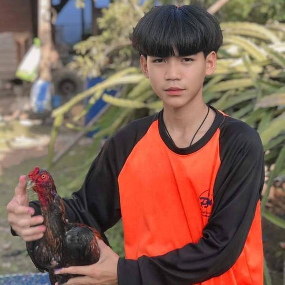 แชท หาเพื่อนคุย, โสด 