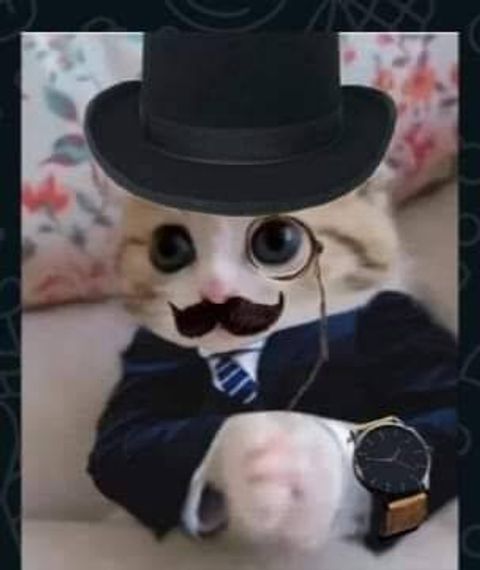 chat looking for friends 