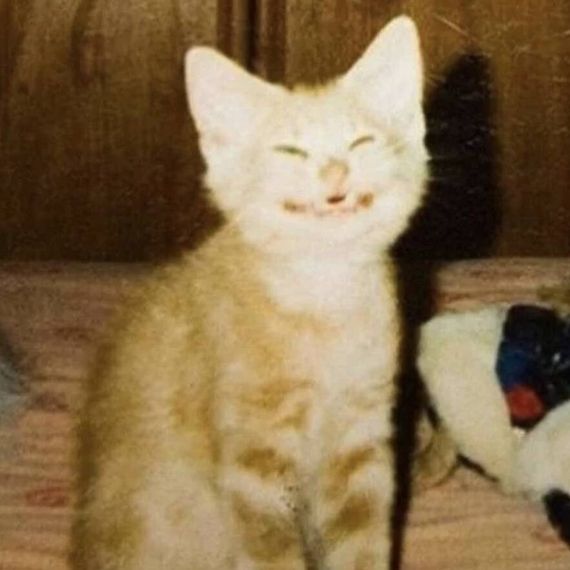 แชท หาเพื่อนคุย, หาเพื่อนเที่ยว