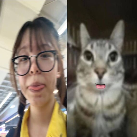 แชท หาเพื่อนคุย 