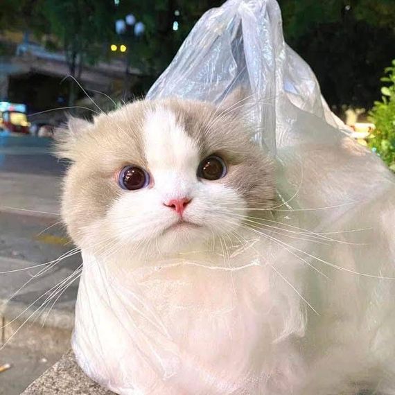 แชท หาเพื่อนคุย, หาเพื่อนไลน์  ที่อยู่ กรุงเทพมหานคร