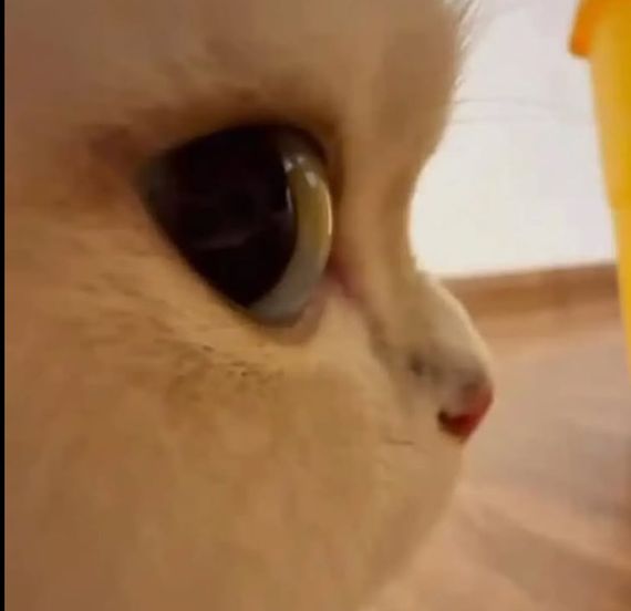 chat looking for friends