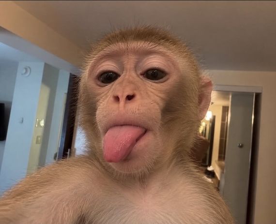 chat looking for friends 