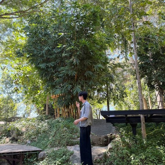 แชท หาเพื่อนคุย 