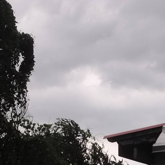 แชท โสด, แชทเปิดกล้อง 