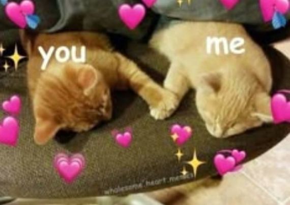 chat looking for friends 