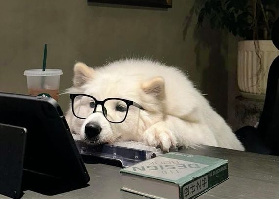 แชท หาเพื่อนไลน์, แชทเปิดกล้อง 