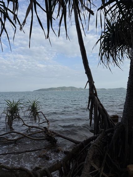 แชท หาเพื่อนคุย  ที่อยู่ กรุงเทพมหานคร