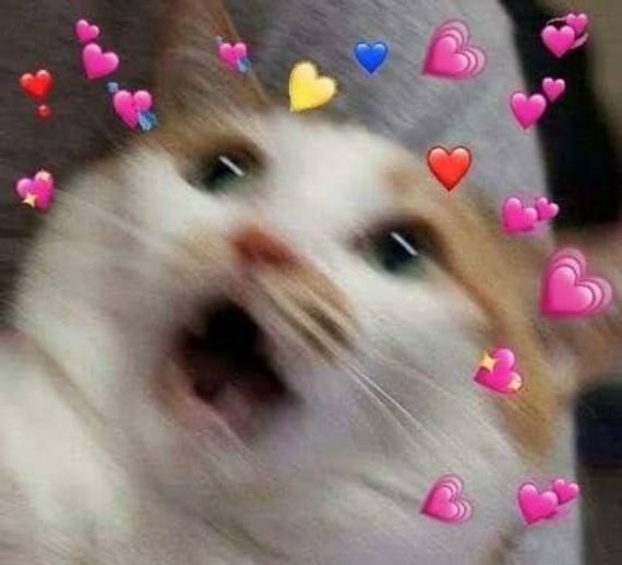chat chat 