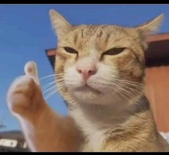 แชท หาเพื่อนคุย  ที่อยู่  พิษณุโลก