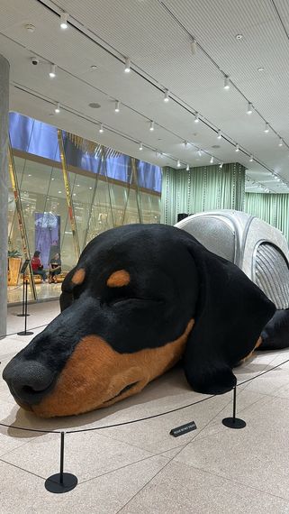 แชท หาเพื่อนคุย, หากิ๊ก  ที่อยู่  ปทุมธานี