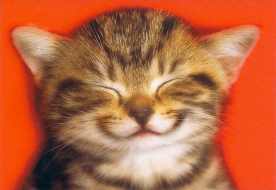 chat chat 