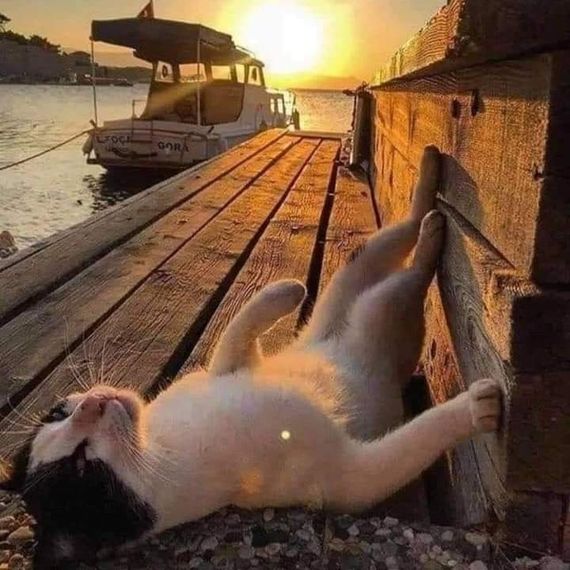แชท หาเพื่อนคุย  ที่อยู่ กรุงเทพมหานคร