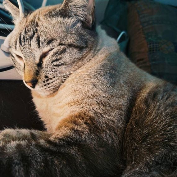 แชท หาเพื่อนเที่ยว ที่อยู่ ชลบุรี