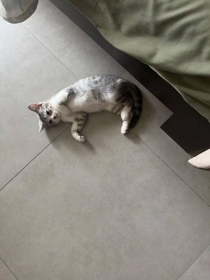 chat looking for friends  from Samut Prakarn