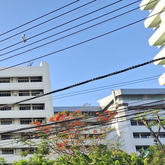 chat single from Bangkok