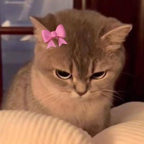 แชท หาเพื่อนคุย, หาเพื่อนไลน์ 