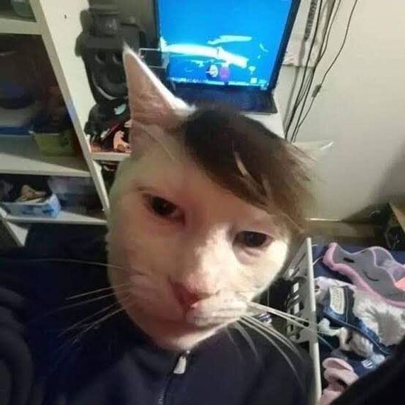 chat looking for friends 
