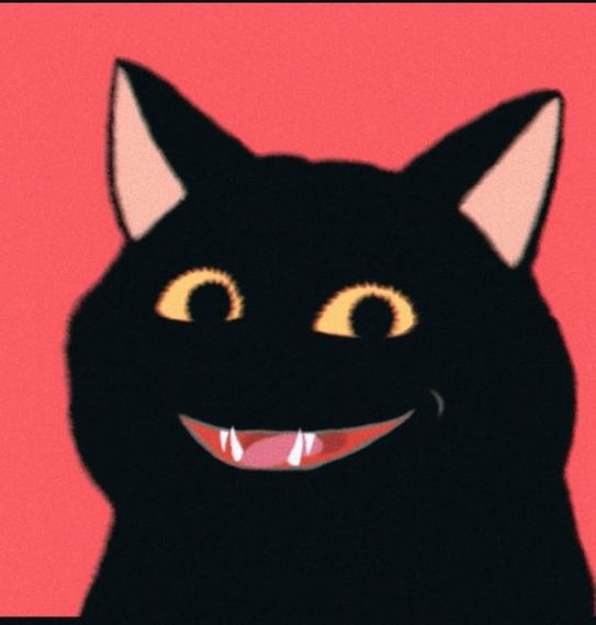 chat looking for friends 