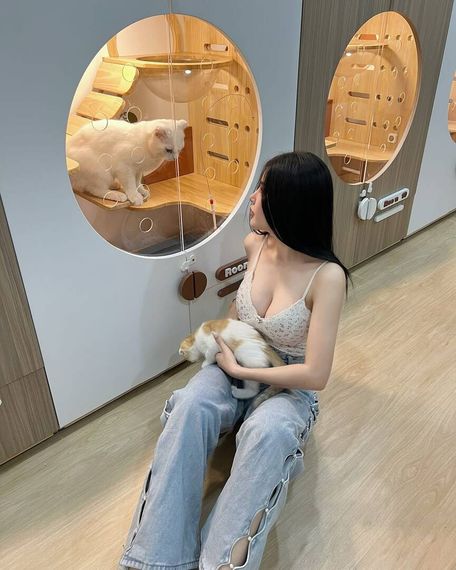 แชท หาเพื่อนคุย  ที่อยู่  เชียงใหม่