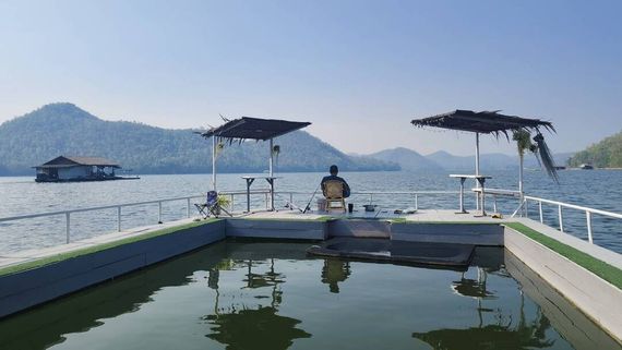 chat looking for friends 