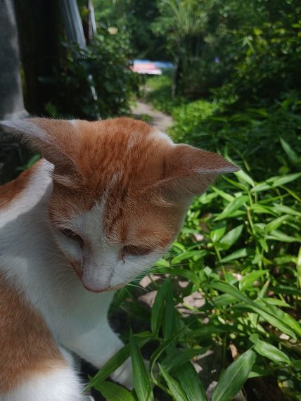 แชท หาเพื่อนคุย, โสด  ที่อยู่  ปทุมธานี