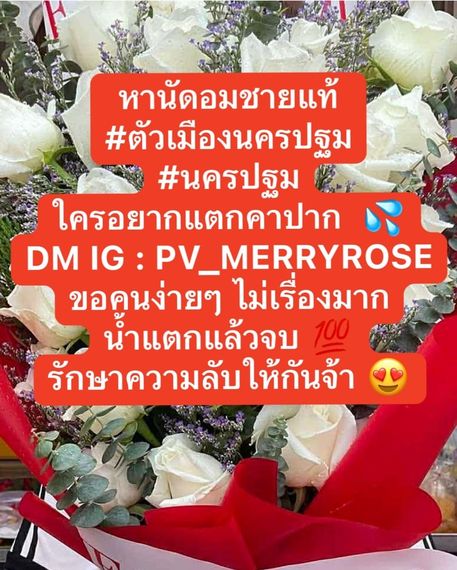 แชท หาแฟน, หาเพื่อนเที่ยว  ที่อยู่  นครปฐม