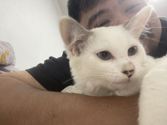 chat looking for friends  from Chon Buri