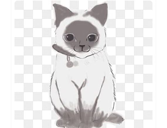 แชท หาเพื่อนคุย, โสด