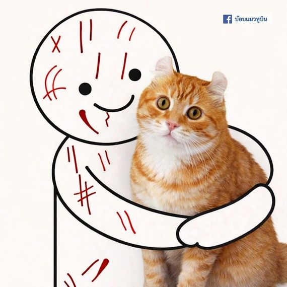 แชท หาเพื่อนคุย, โสด 