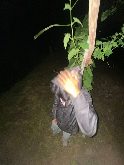 แชท โสด  ที่อยู่  นครศรีธรรมราช