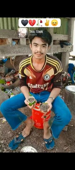 แชท หาเพื่อนคุย 
