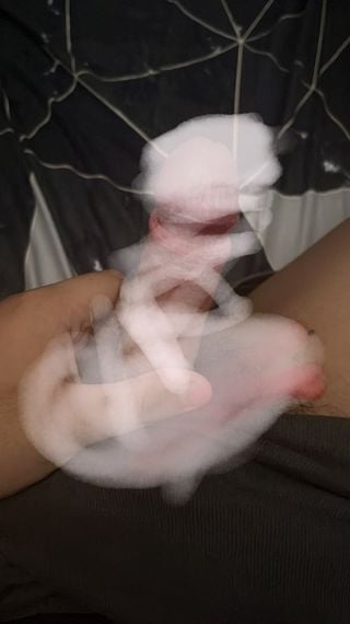 แชท หาเพื่อนไลน์, แชทเปิดกล้อง