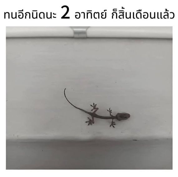 แชท หาเพื่อนคุย  ที่อยู่  สมุทรปราการ