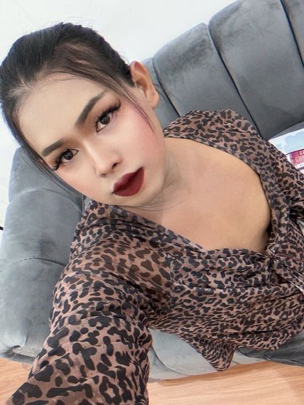 แชท หาเพื่อนเที่ยว, โสด  ที่อยู่  สุรินทร์