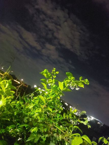 แชท หาเพื่อนคุย, โสด  ที่อยู่ กรุงเทพมหานคร