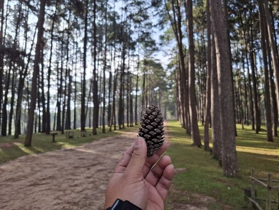 chat chat, find line friends  from Bangkok