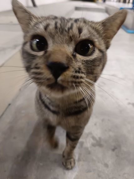 แชท หาเพื่อนคุย  ที่อยู่  นครปฐม