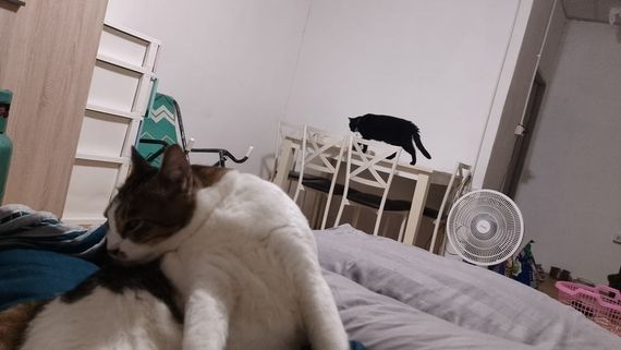 แชท หาแฟน, หาเพื่อนคุย  ที่อยู่  อ่างทอง