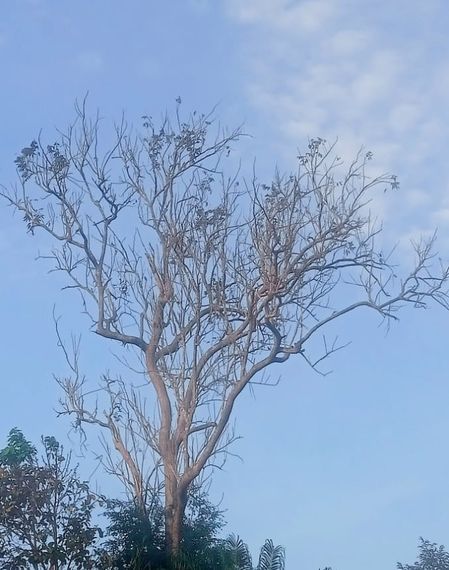 chat looking for friends 