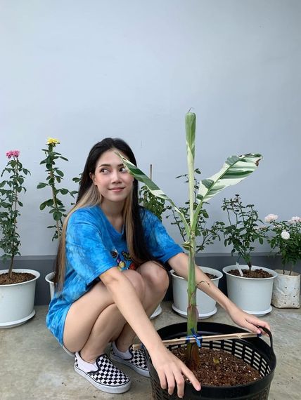 แชท หาเพื่อนคุย, หาเพื่อนไลน์ 