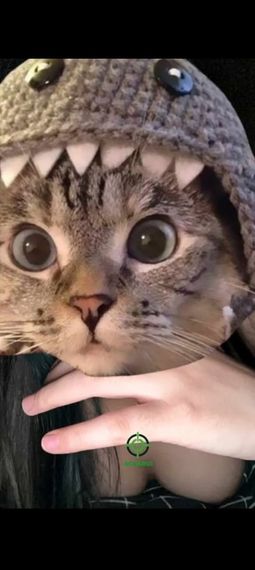 แชท หาเพื่อนคุย  ที่อยู่ กรุงเทพมหานคร