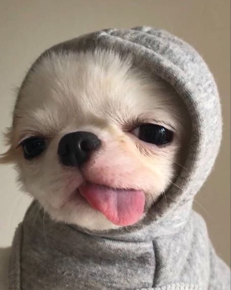 chat looking for friends